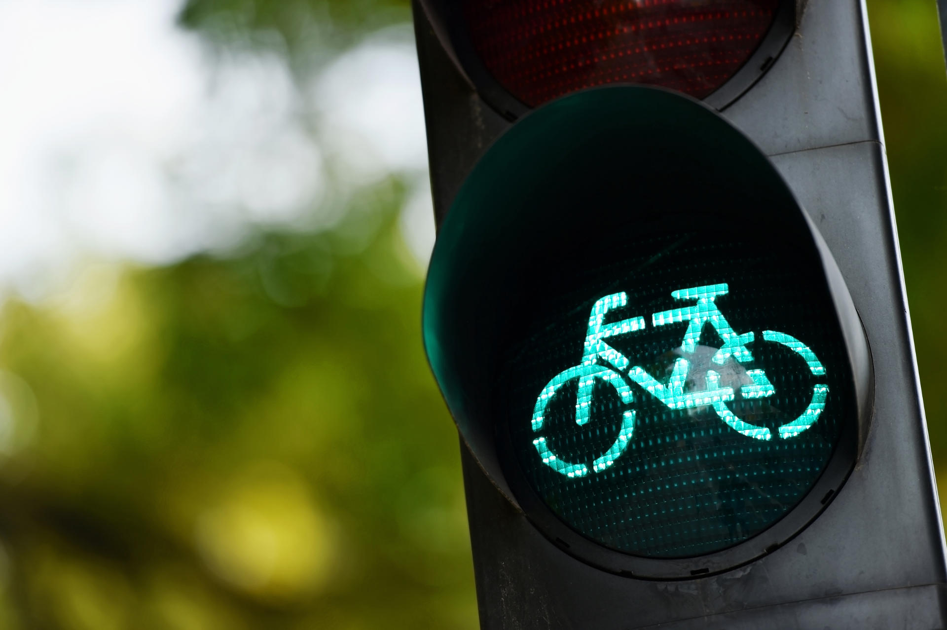 Green light on bicycle traffic signal